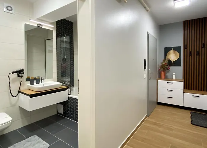 Alegria Avantgarden Braszów